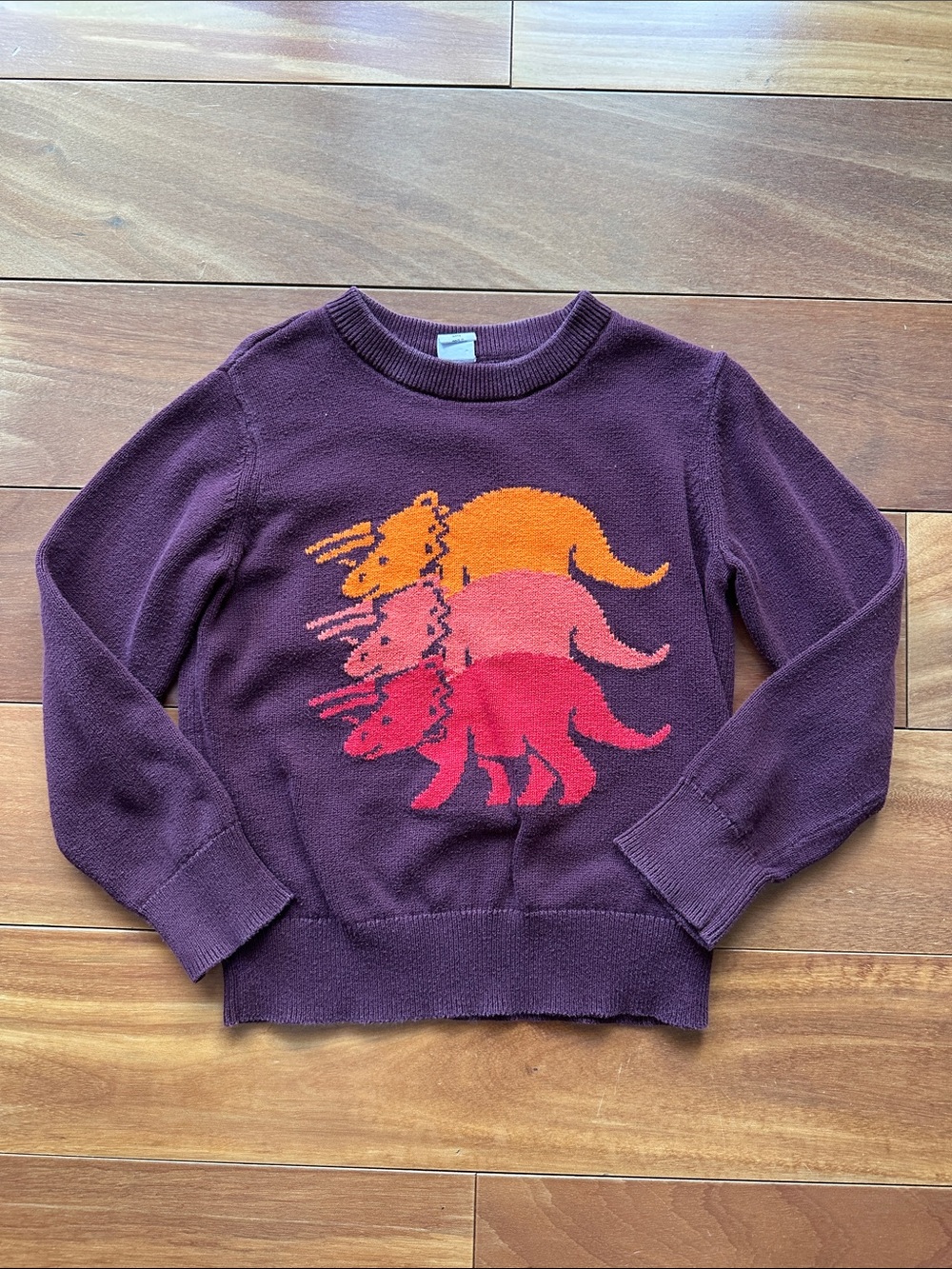 GAP Plum Burgundy Crewneck Sweater with Orange, Coral & Red Dinosaur 4T Unisex